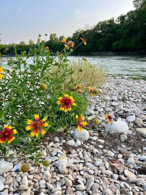 The River Haven - Sleeps 32 - On Guadalupe River Seguin Zewnętrze zdjęcie